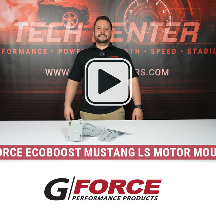 Ecoboost Mustang LS Engine Motor Mounts