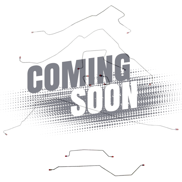 CBK0494SS - 1976-77 Pontiac Firebird, w/ Power Disc, F-41 Rear Suspension; Complete Brake Line Kit; Stainless - SSTubes